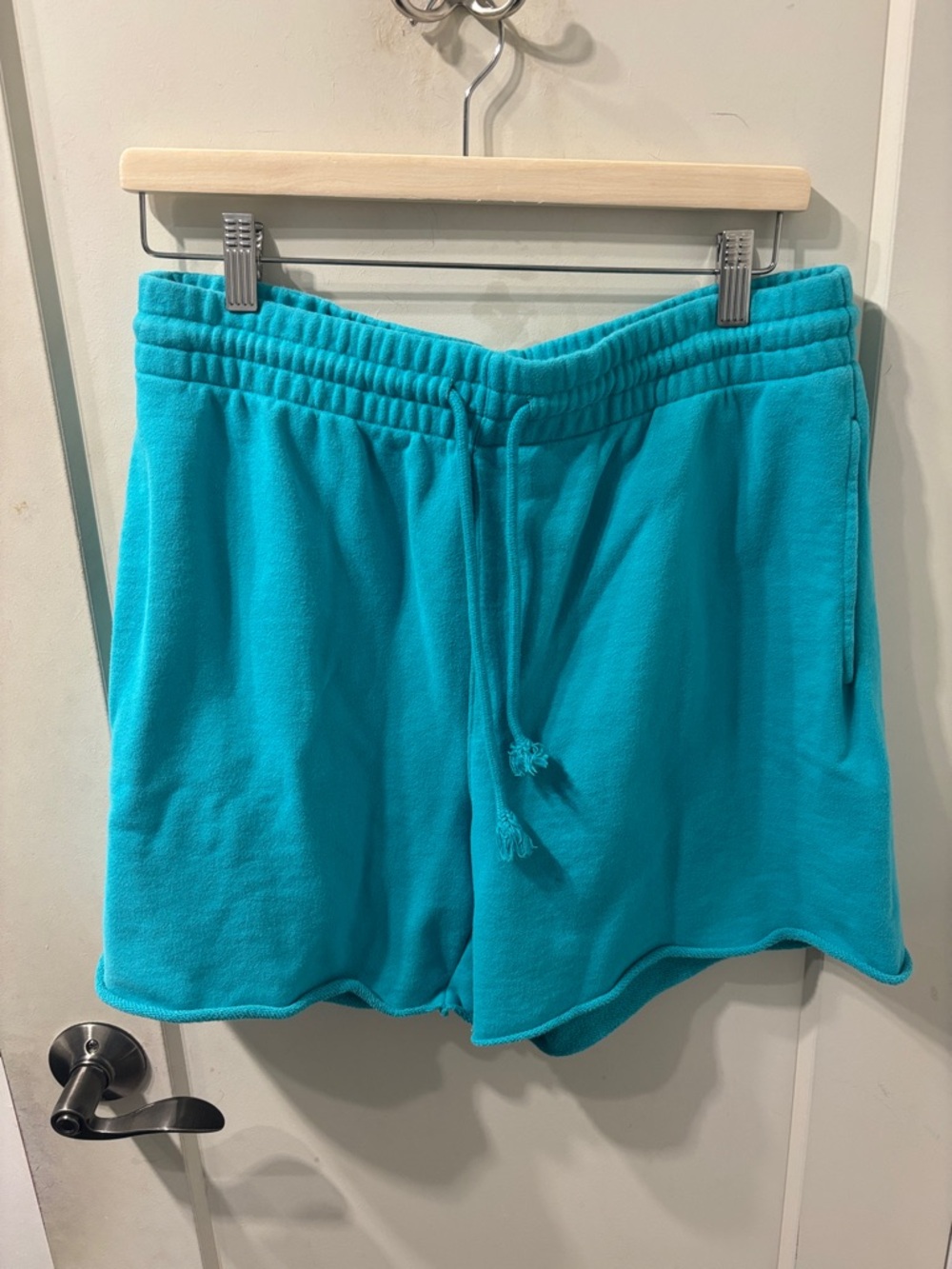 Aritzia Boyfriend Fleece Shorts in Teal